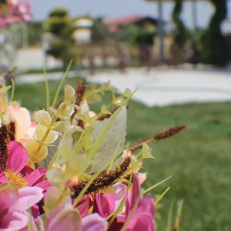 住宿加早餐酒店 Lapis Port Surf 2*