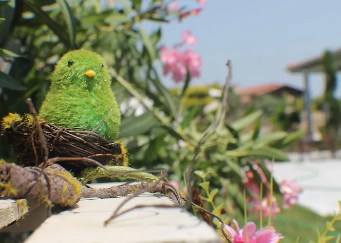 Lapis Port Surf Alojamento de Acomodação e Pequeno-almoço 2*