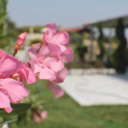 Bed & Breakfast Lapis Port Surf 2*