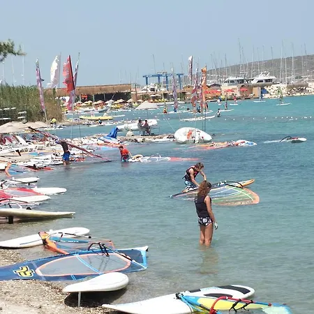 Lapis Port Surf