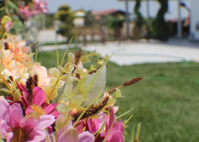 Bed and breakfast Lapis Port Surf 2*