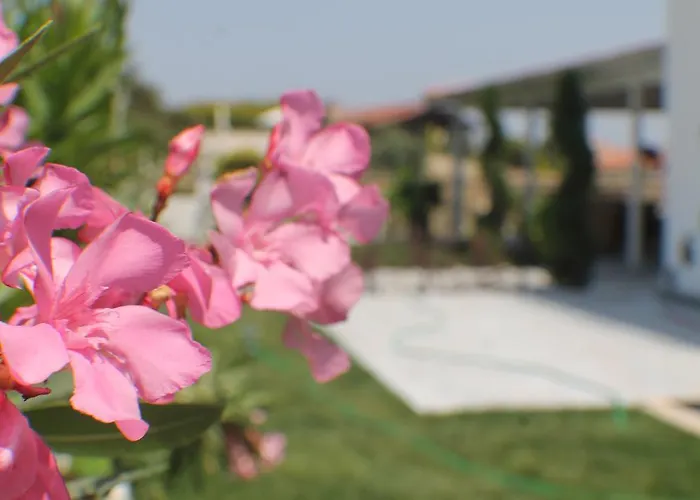 Bed and breakfast Lapis Port Surf 2*